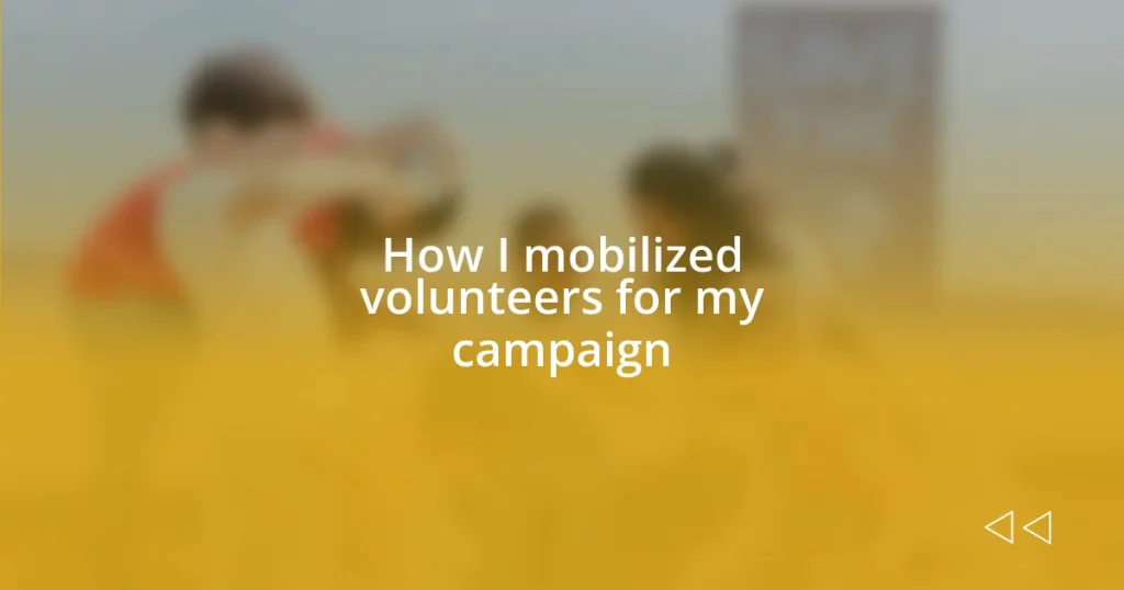 How I mobilized volunteers for my campaign