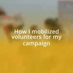 How I mobilized volunteers for my campaign