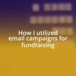 How I utilized email campaigns for fundraising