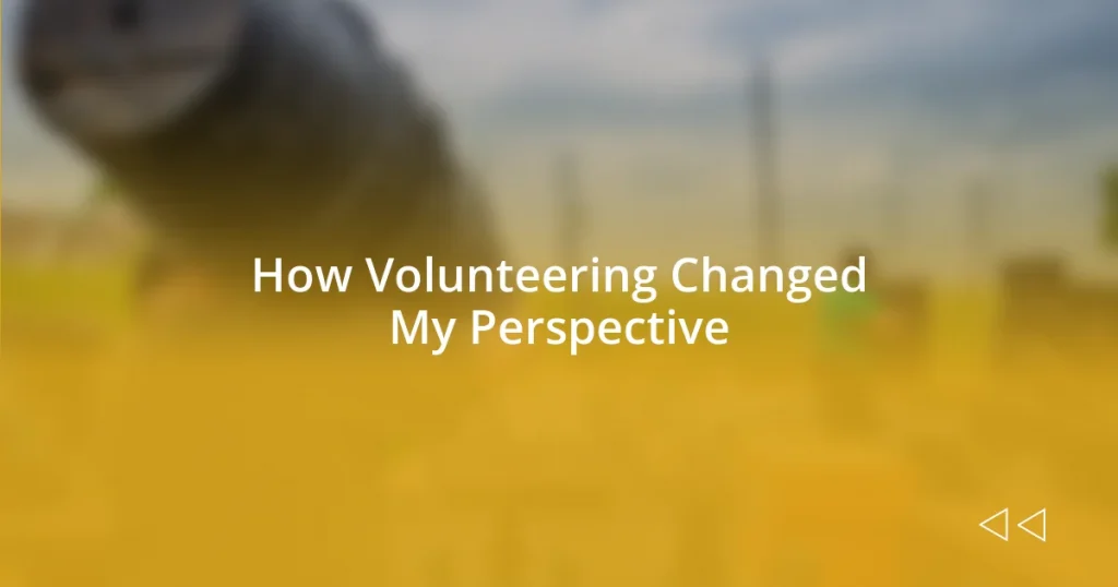 How Volunteering Changed My Perspective