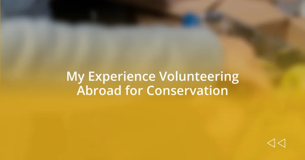 My Experience Volunteering Abroad for Conservation