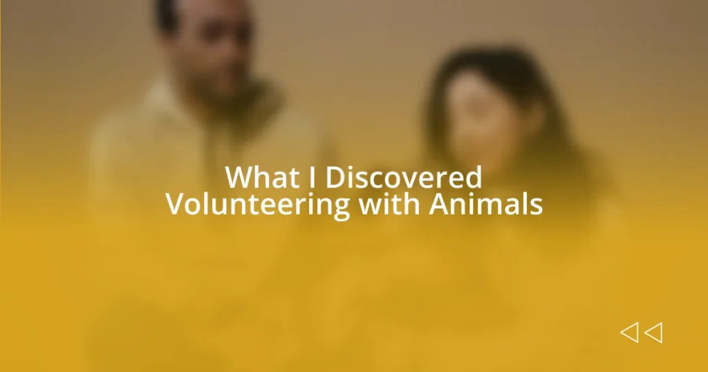 What I Discovered Volunteering with Animals