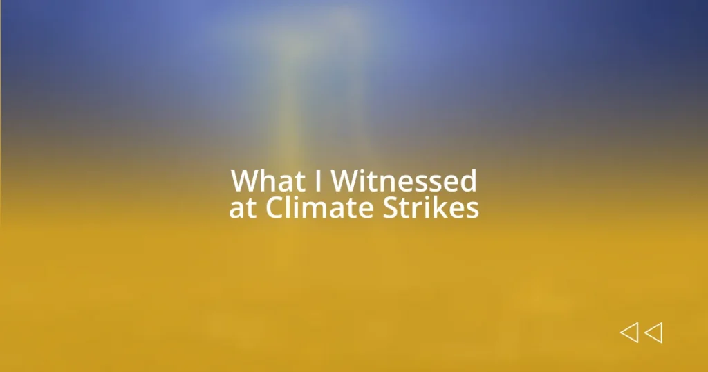 What I Witnessed at Climate Strikes