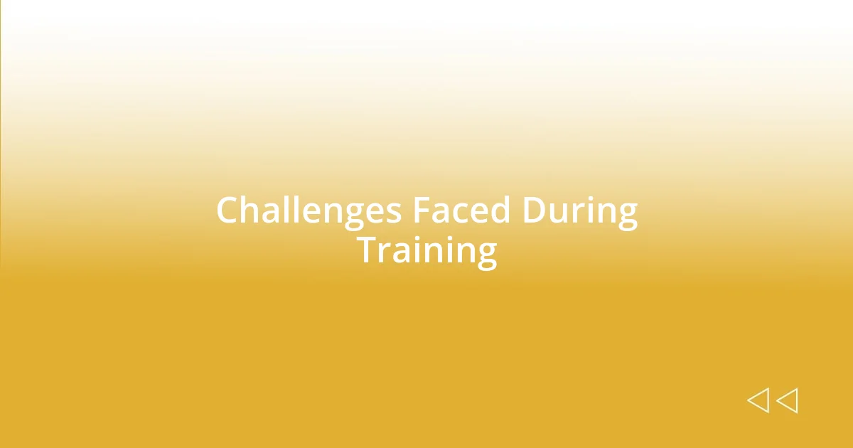 Challenges Faced During Training