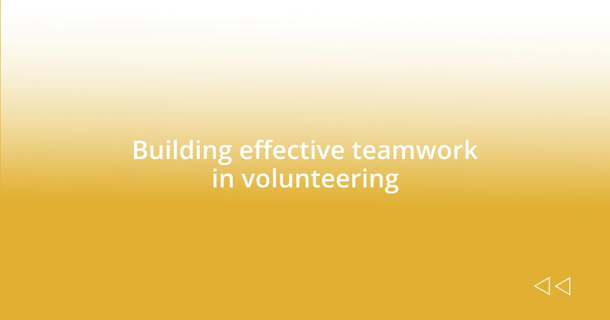 Building effective teamwork in volunteering