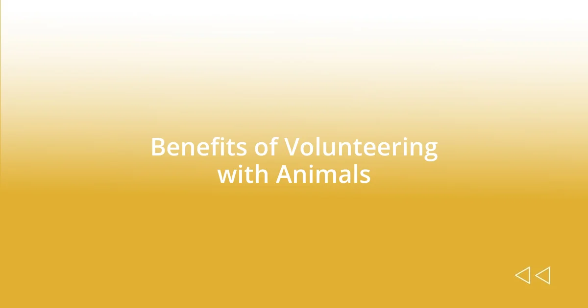 Benefits of Volunteering with Animals