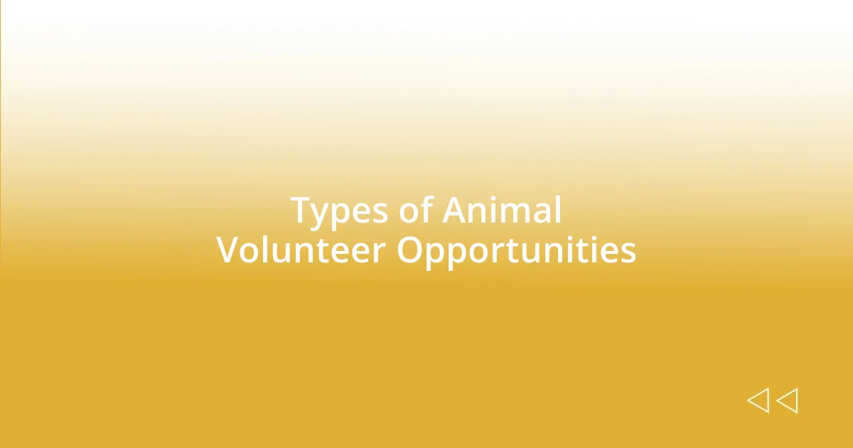 Types of Animal Volunteer Opportunities