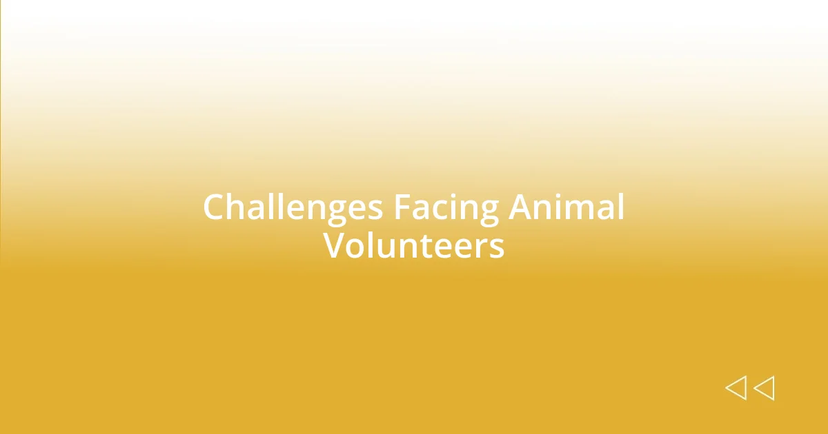 Challenges Facing Animal Volunteers